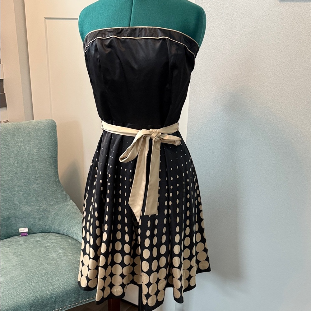 The Limited Black and Cream Strapless Dress